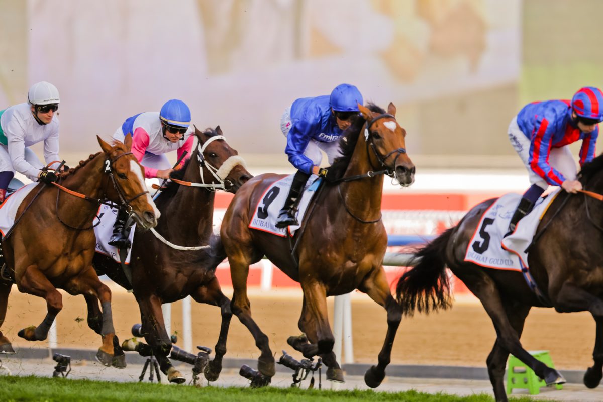 Where To Watch The Dubai World Cup 2021 Time Out Dubai 8494