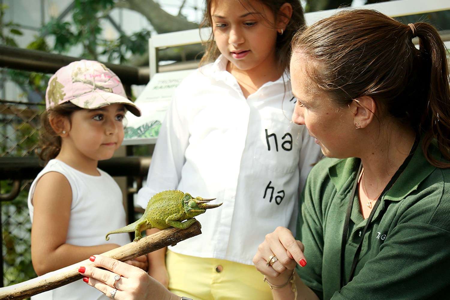 Kids In Dubai Can Sign Up To A Sustainable Half Term Camp With The 