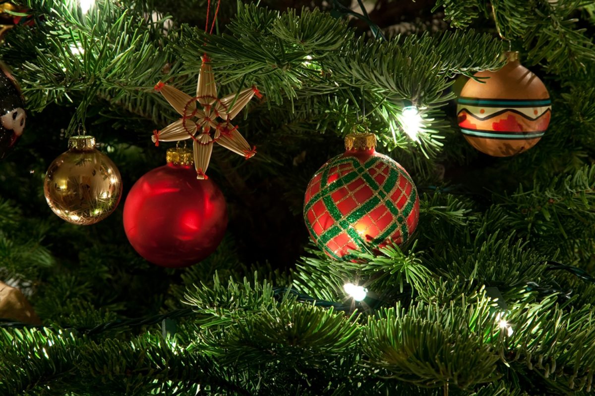 Where to buy a real Christmas tree in Dubai | Time Out Dubai