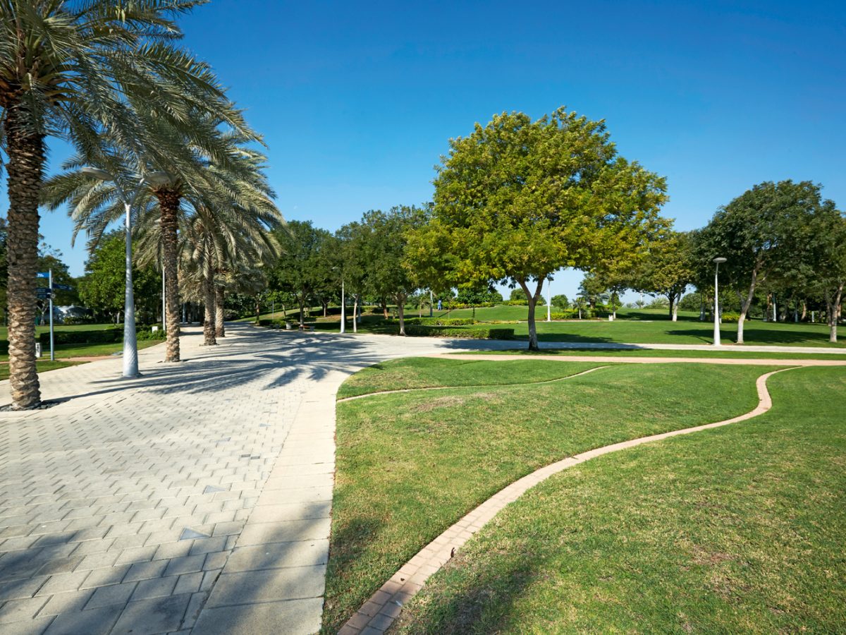 Guinness World Record yoga class in Dubai: Zabeel Park