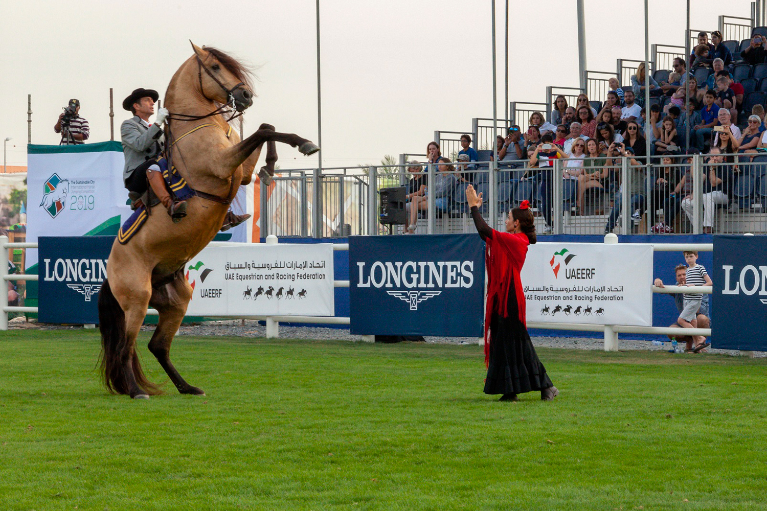 The Sustainable City Equestrian Club is hosting a huge horse show | Time  Out Dubai