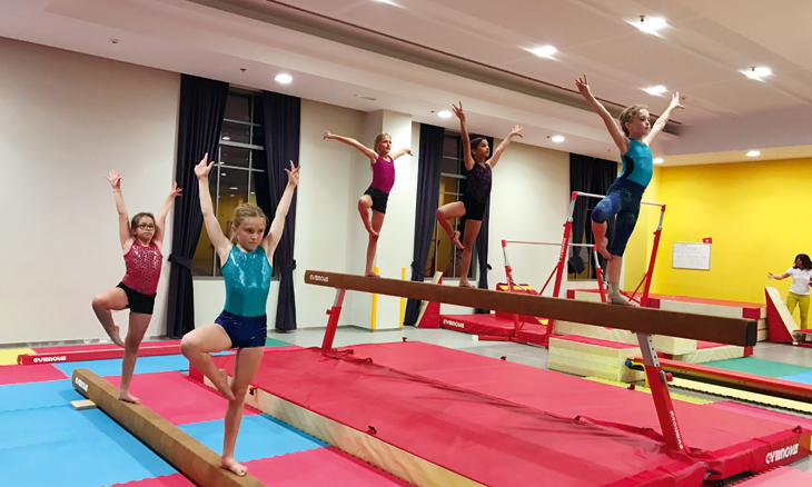 The Various Types of Gymnastics