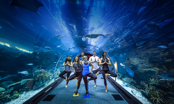 Underwater yoga comes to Dubai Aquarium | Time Out Dubai