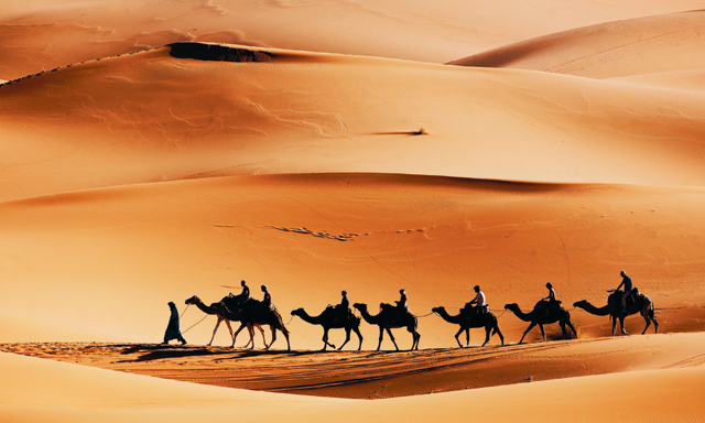 Camel-riding In Dubai 