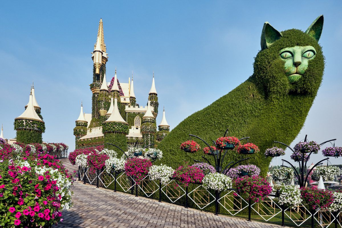 Dubai Miracle Garden Opening Time and activities
