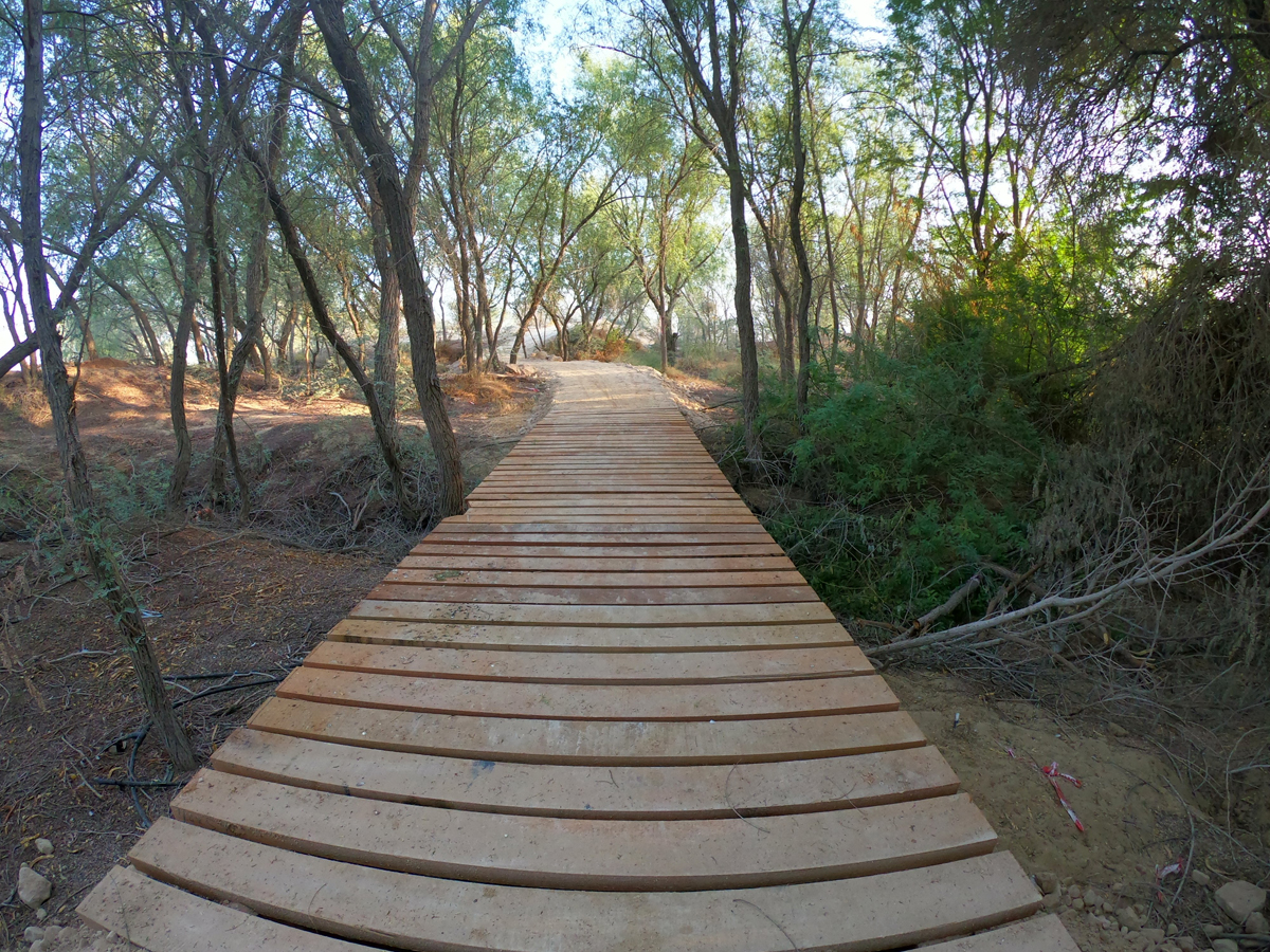 olympic park mountain bike track