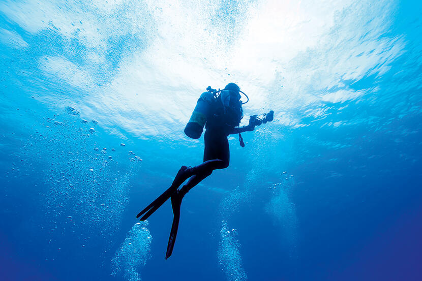 Diver under the water