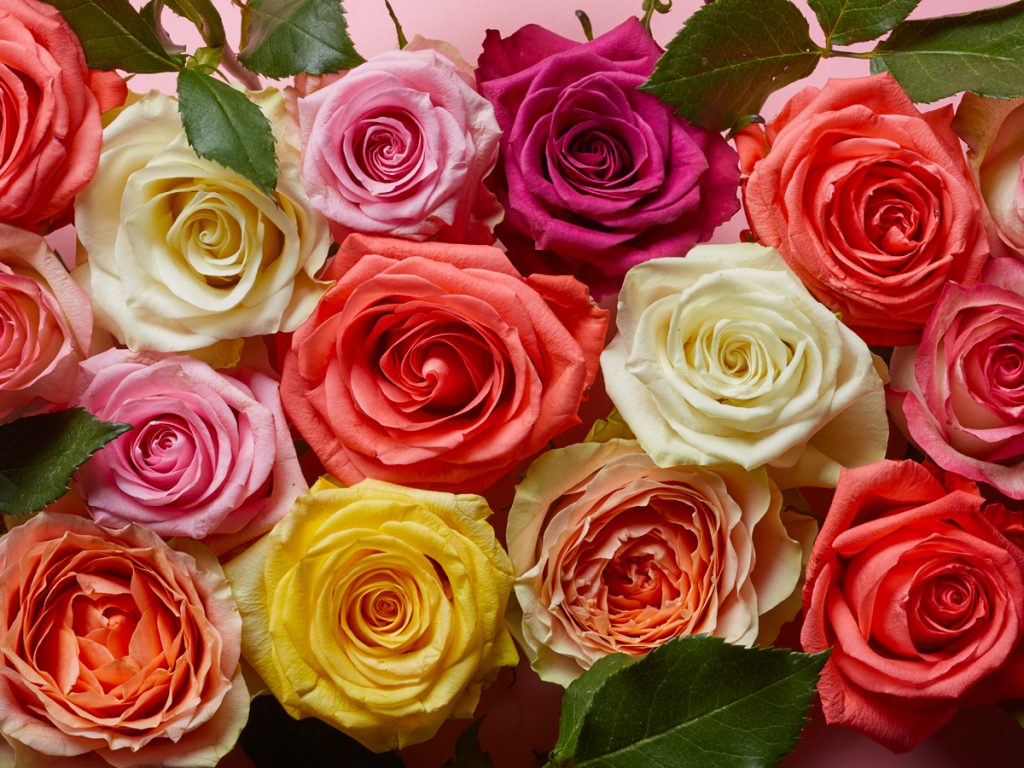 Where to buy flowers in the UAE
