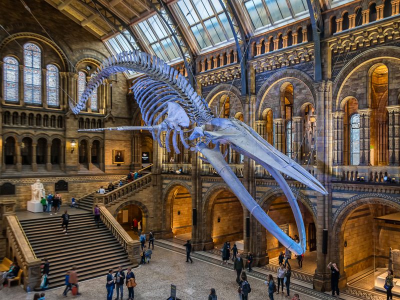 7 most popular museums in the world: best art galleries