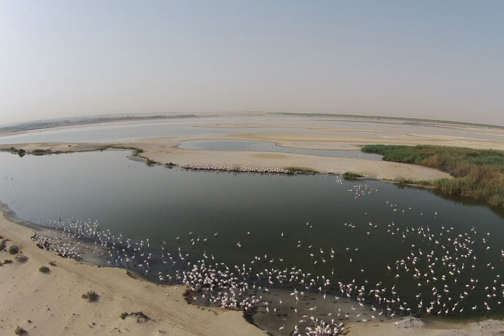 Al Wathba Lakes