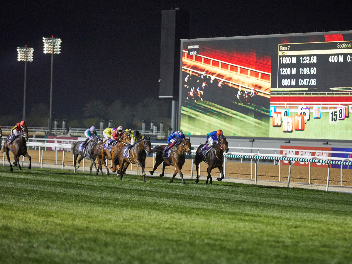 Dubai World Cup 2023 confirmed for March 25 Time Out Dubai