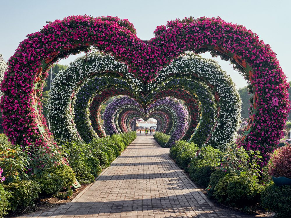 Dubai Miracle Garden closing date Last chance to get to Dubai Miracle