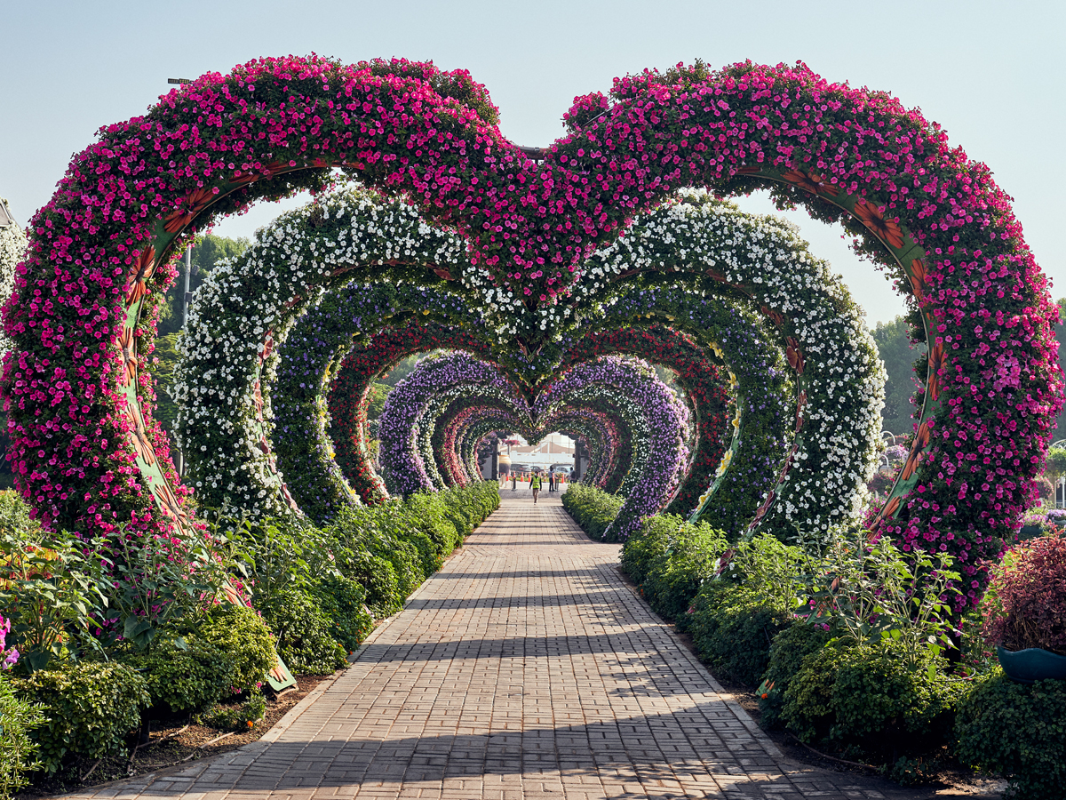 473 Dubai Miracle Garden Heart Images, Stock Photos & Vectors | Shutterstock