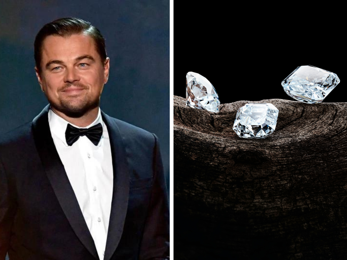 Leonardo dicaprio lab grown outlet diamonds