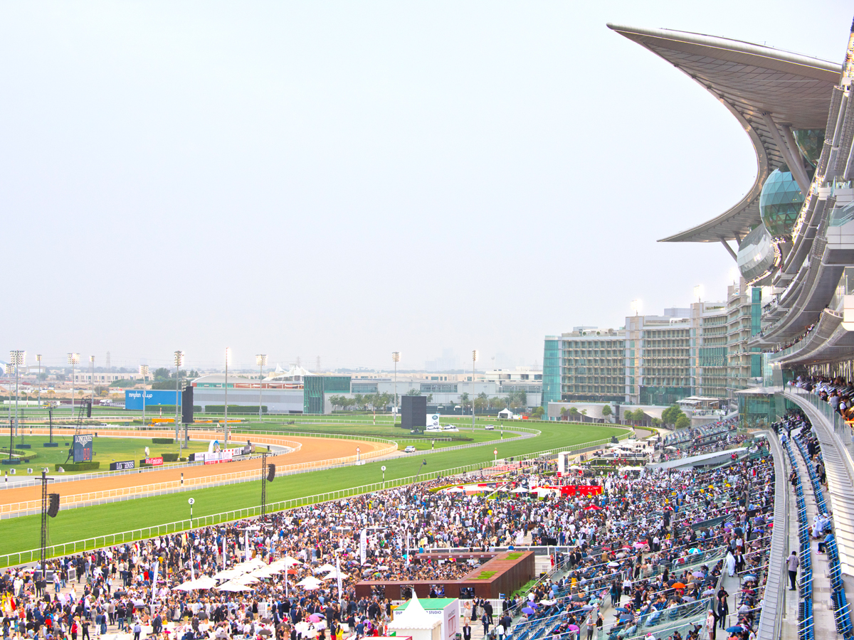 Dubai World Cup 2023: Everything You Need To Know