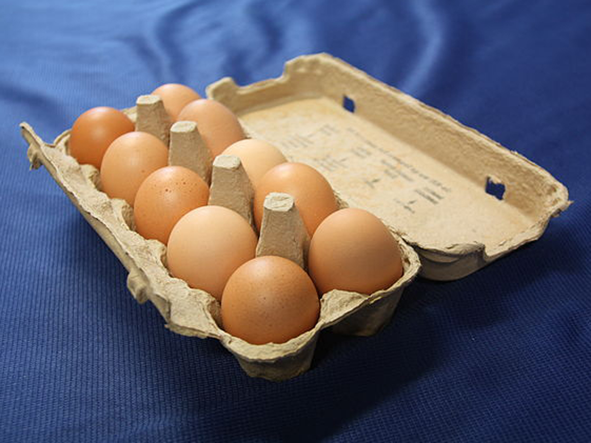 the-hitavada-low-cost-egg-incubator-developed