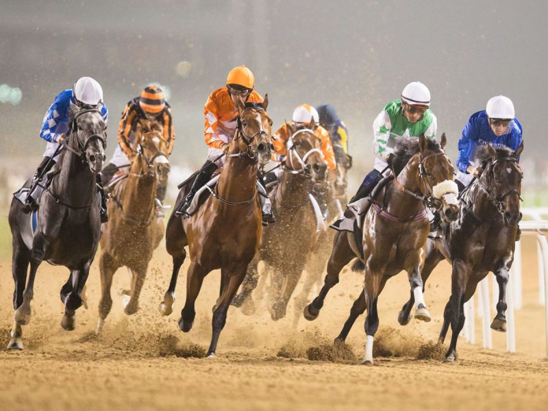 Dubai Racing rebrand as prize money increased Time Out Dubai