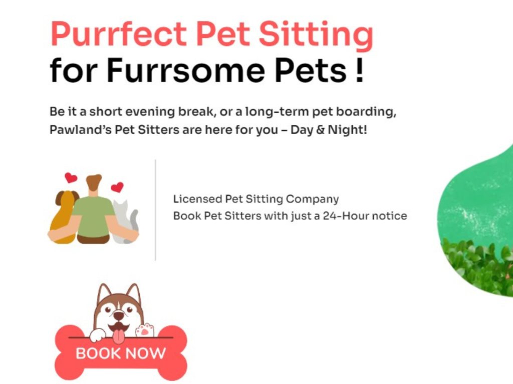 Long term 2024 pet sitting