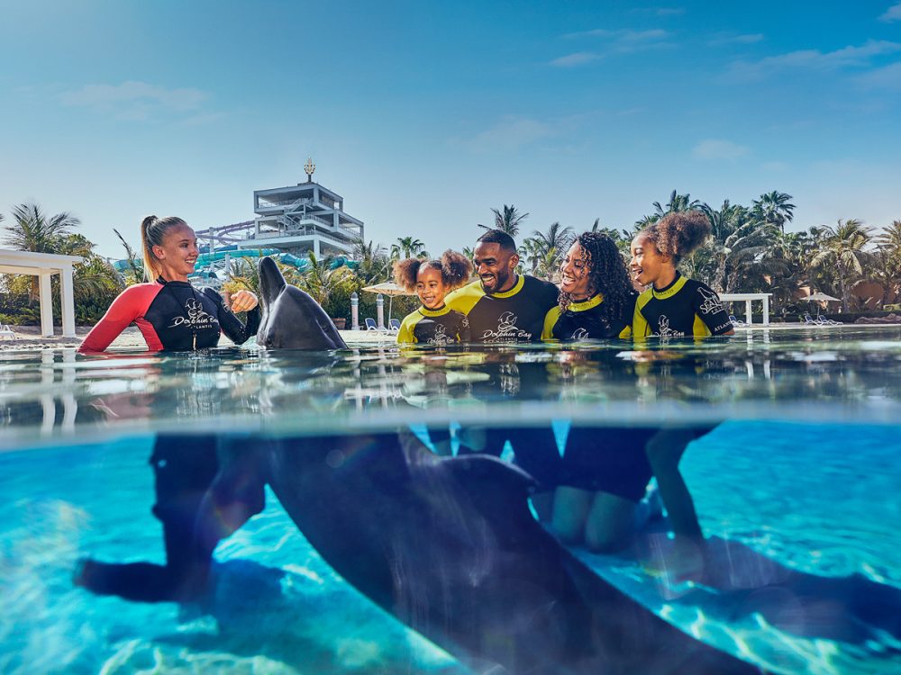 Tick off swimming with dolphins off your bucket list at Atlantis ...