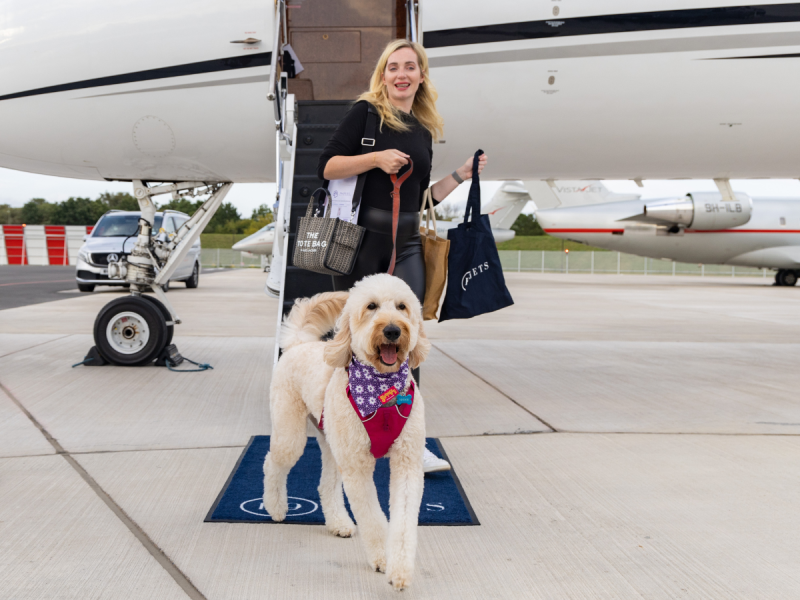 K9 JETS: You can now take your dog to the UK on a private jet for Dhs36 ...