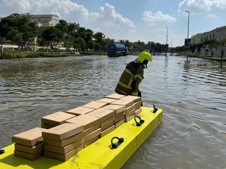 Storm Relief Dubai: Residents To Be Given Housing, Food And More 