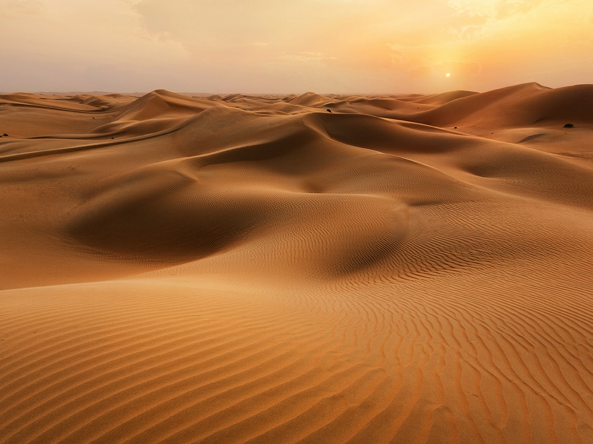 Abu Dhabi's Liwa Sign Breaks Guinness World Record For Tallest Sign 