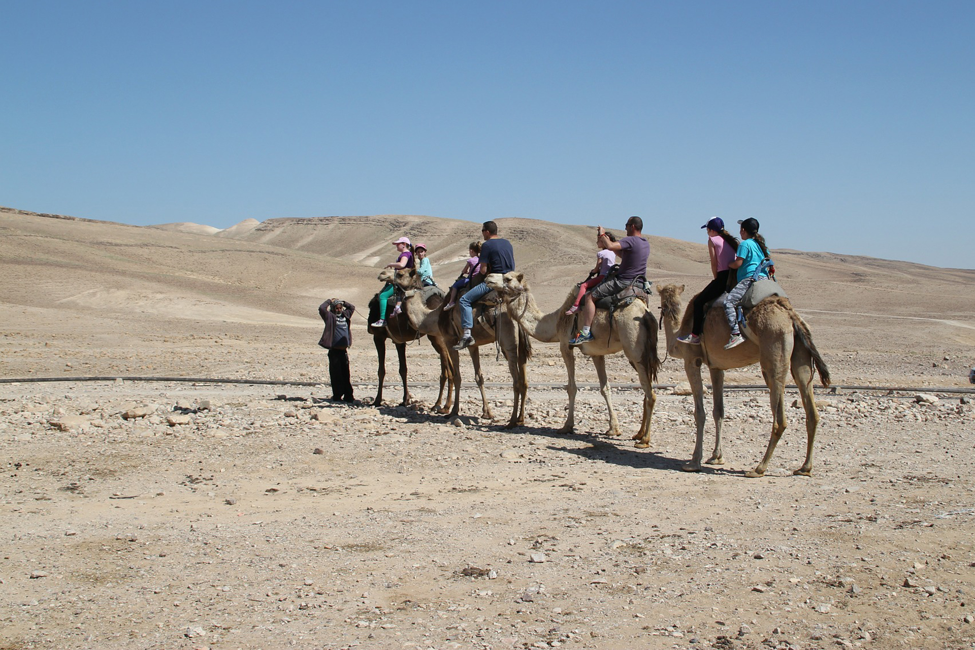 camel trek company dubai