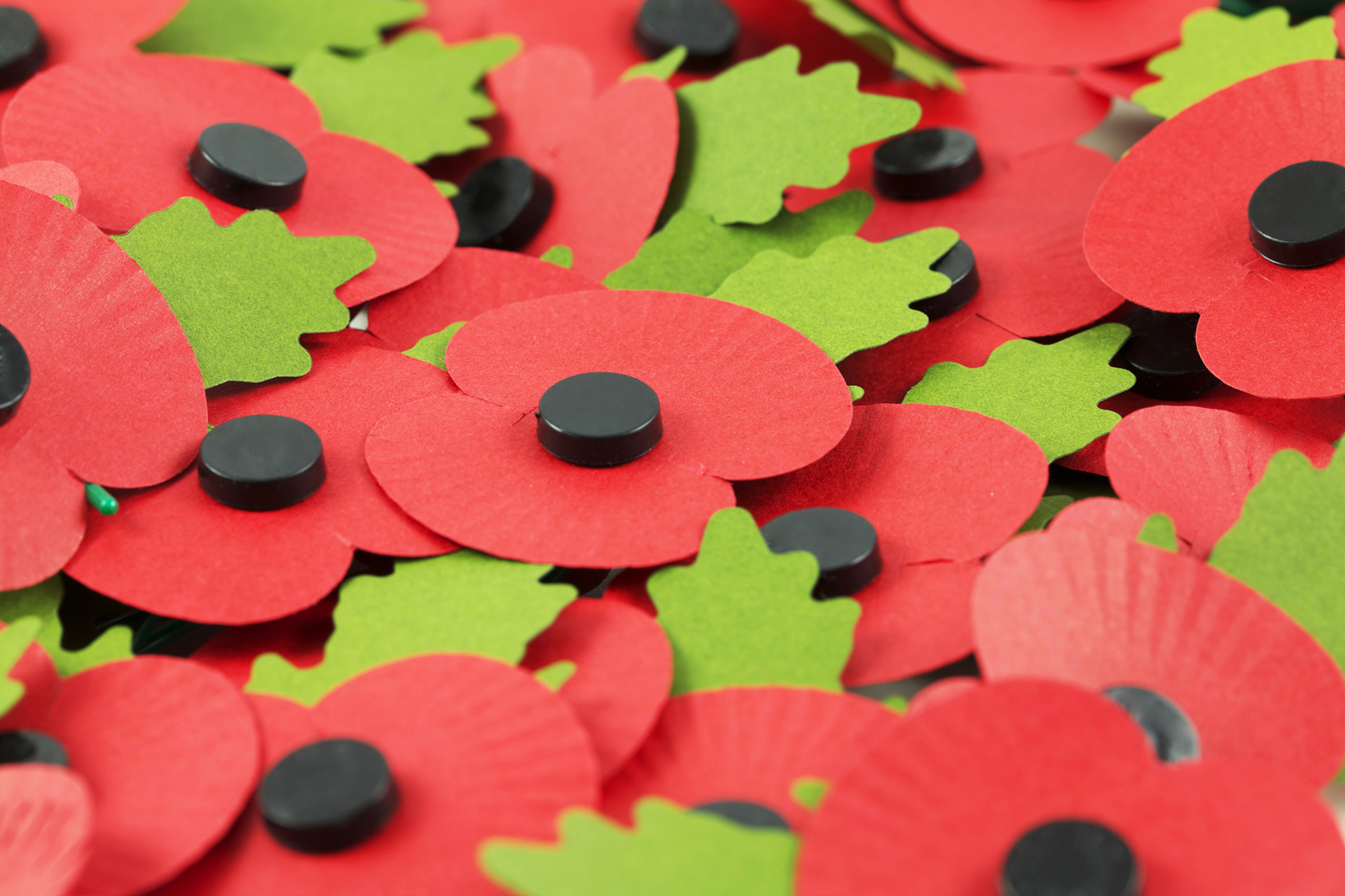 remembrance poppy to buy