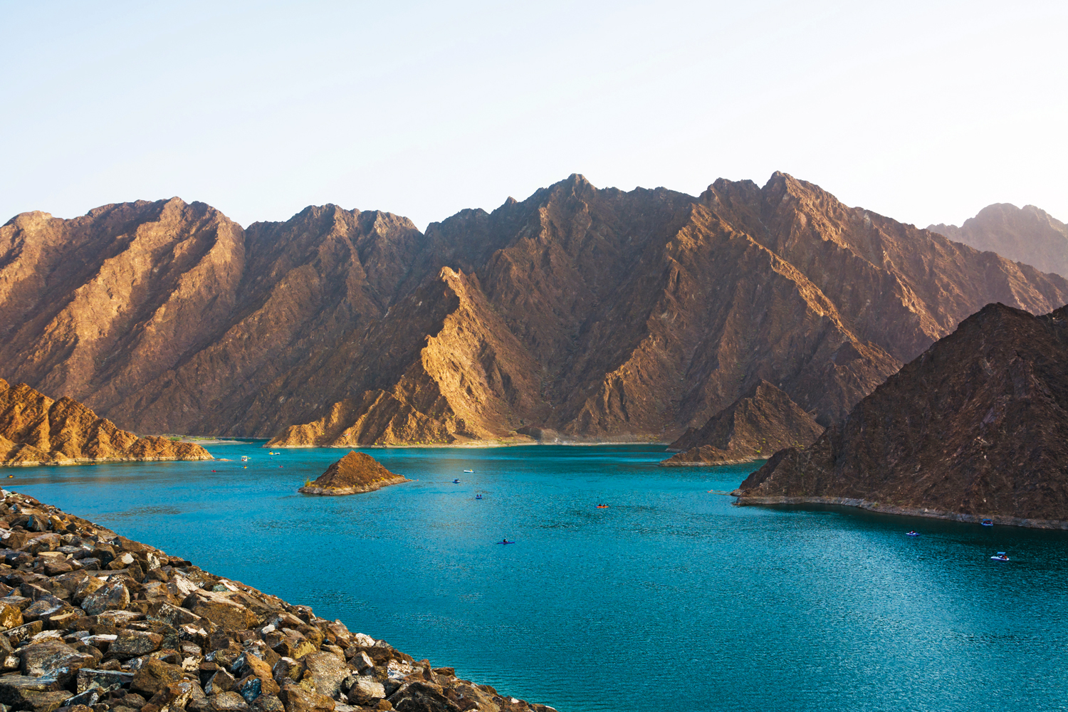 UAE’s Connect with Nature programme launches free virtual workshops for nature lovers | Things